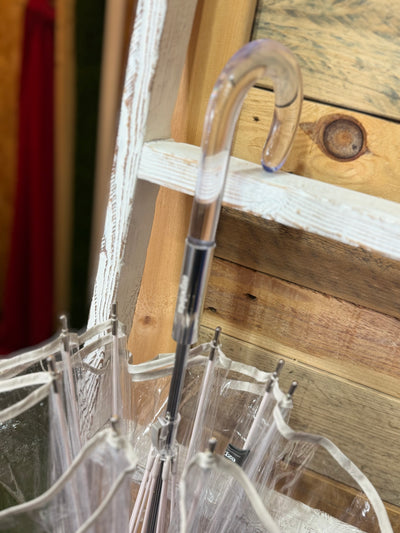 Guarda-chuva transparente com borda cinza Ezpeleta