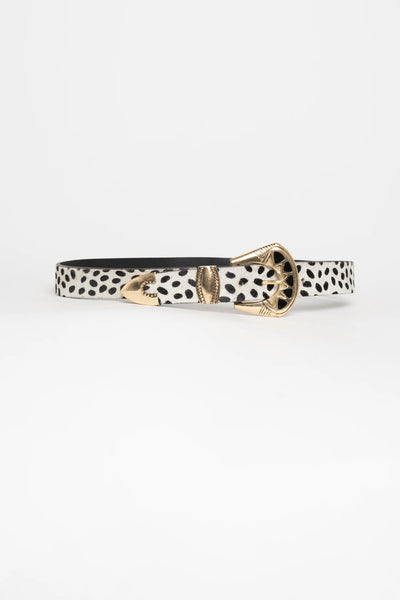 Cinturón Dálmata Piti Cuiti